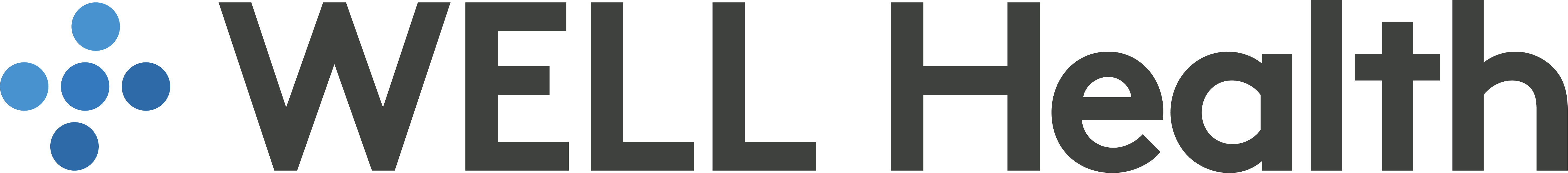 Wellspan Health logo