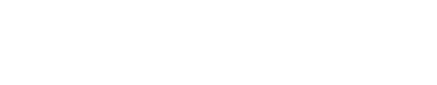 Niagara Health logo