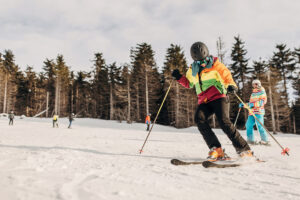 Skier on the slopes