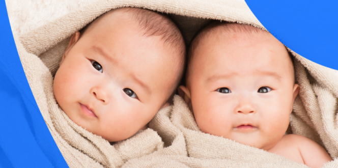 twin pregnancy ultrasound image of identical newborn twin boys