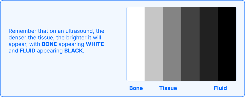 Grayscale from white through to black for ultrasound interpretation